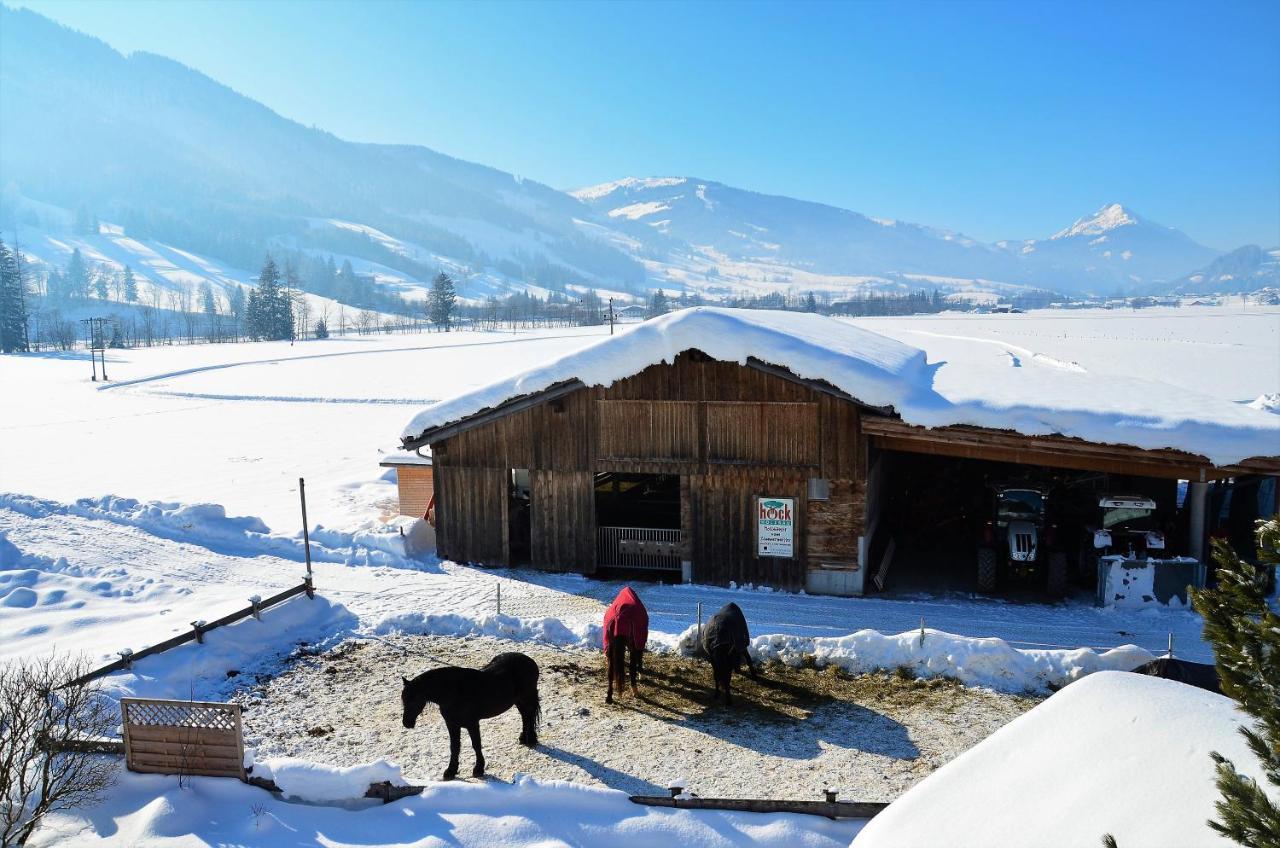 Villa Kleintoedlinggut à Leogang Extérieur photo